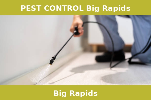 PEST CONTROL Big Rapids